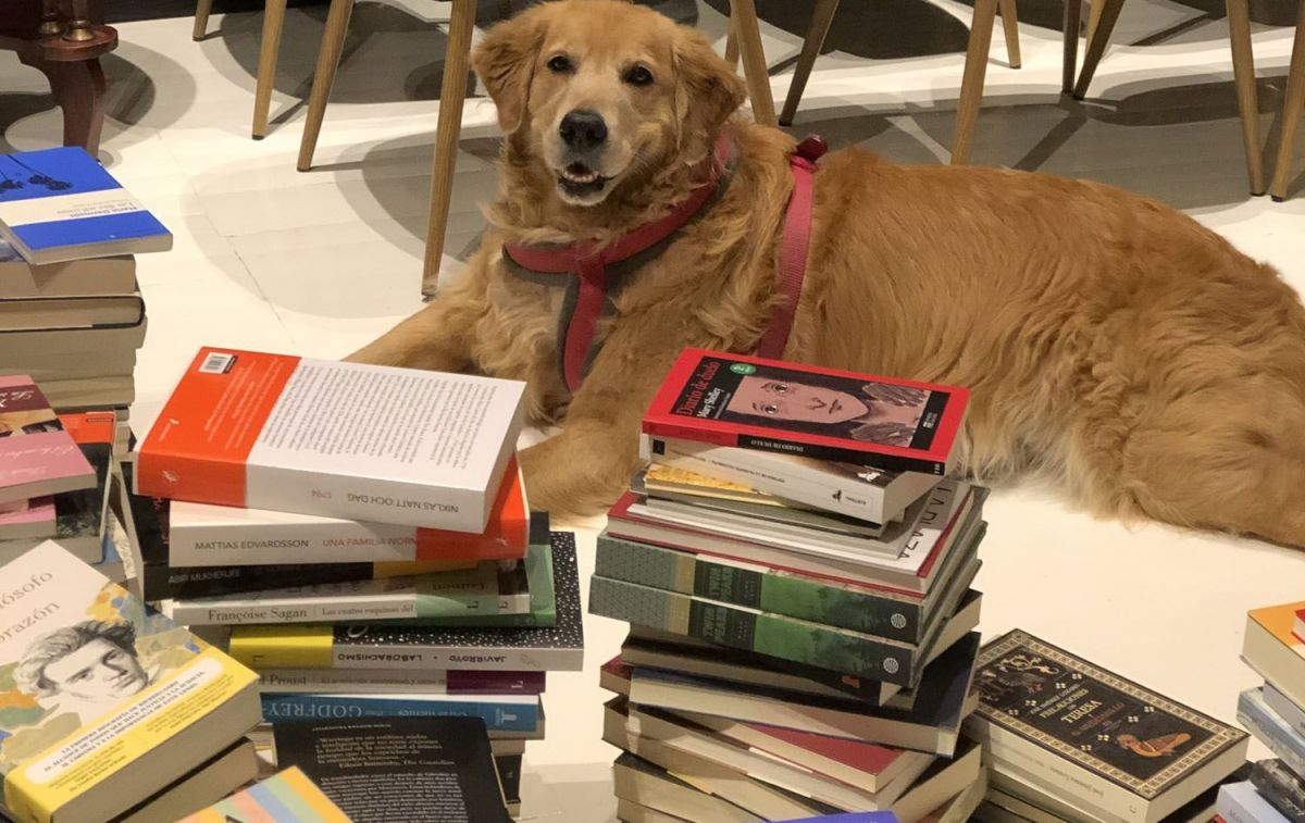 Aurora rodeada de libros en La Mistral / CEDIDA