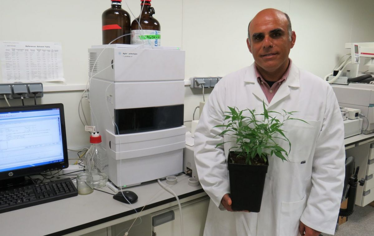 Un investigador con una planta / EP
