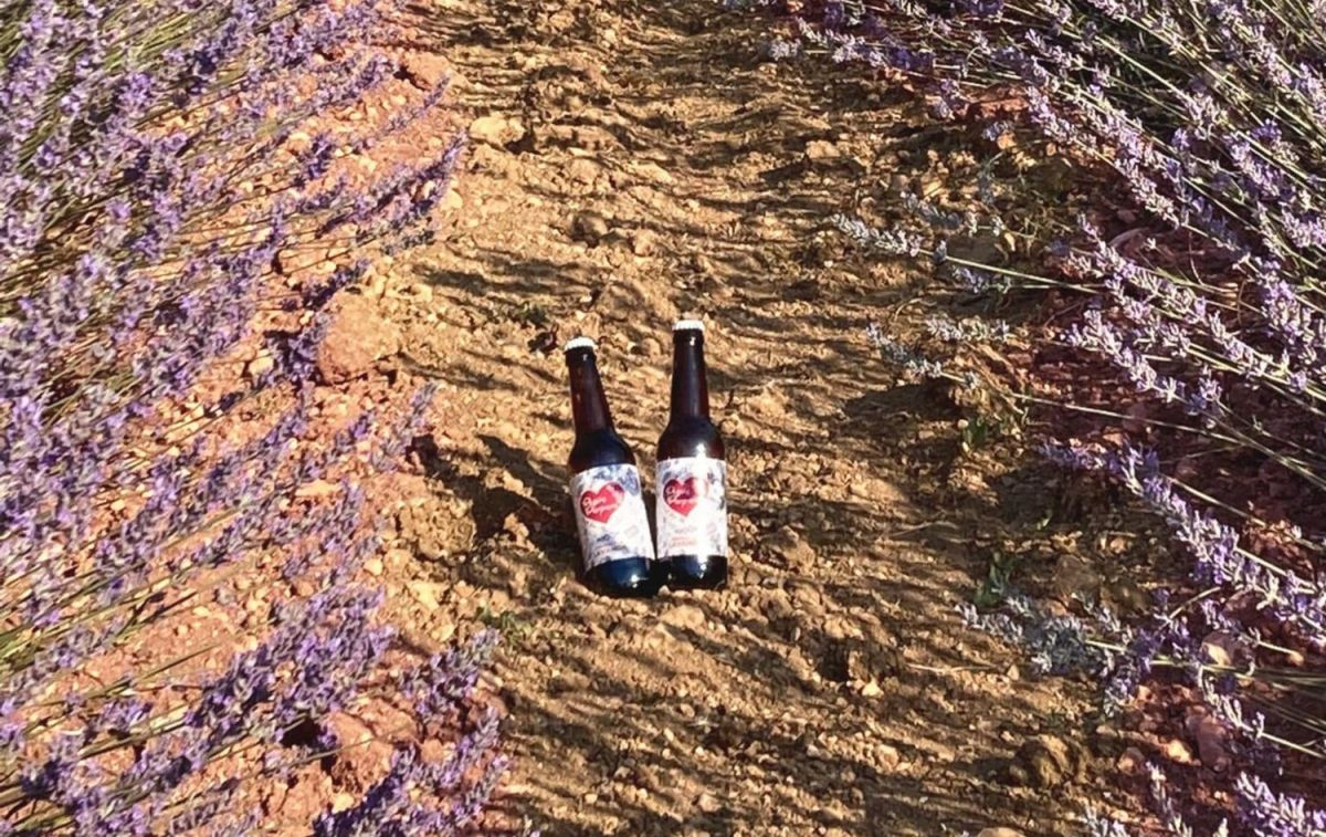 Dos botellas de cerveza Pasión Púrpura en un campo de lavanda / CG
