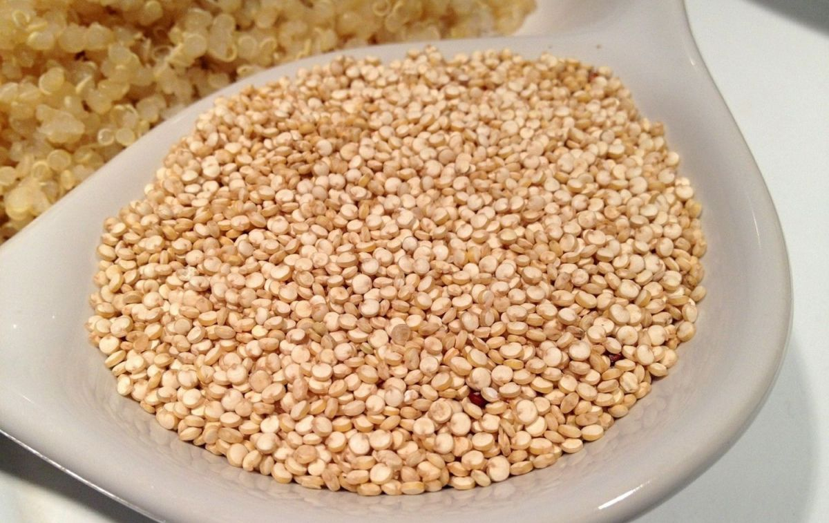 Varios granos de quinoa en un plato / PIXABAY