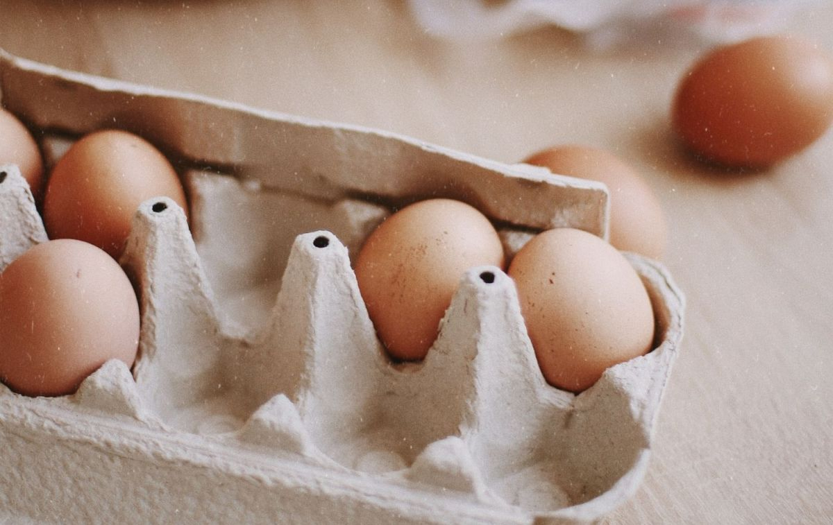 Varios huevos dentro de una caja de cartón / PEXELS