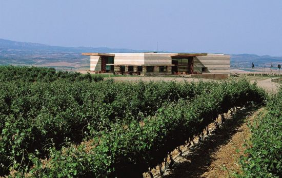 Unos viñedos con la bodega al fondo / CAMPOVIEJO Unos viñedos con la bodega al fondo / CAMPOVIEJO