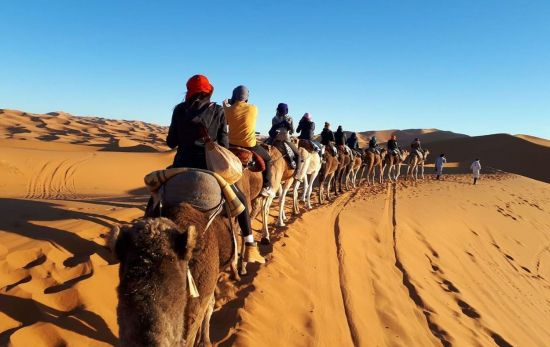 Un grupo de viajeros de excursión por el Sáhara / WEROAD Un grupo de viajeros de excursión por el Sáhara / WEROAD