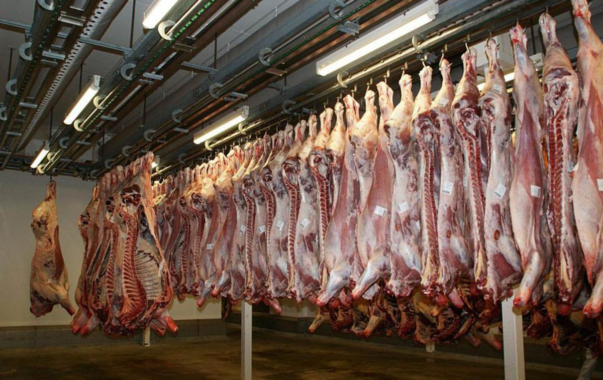 Carne de ganado vacuno en uno de los mataderos / PIXABAY