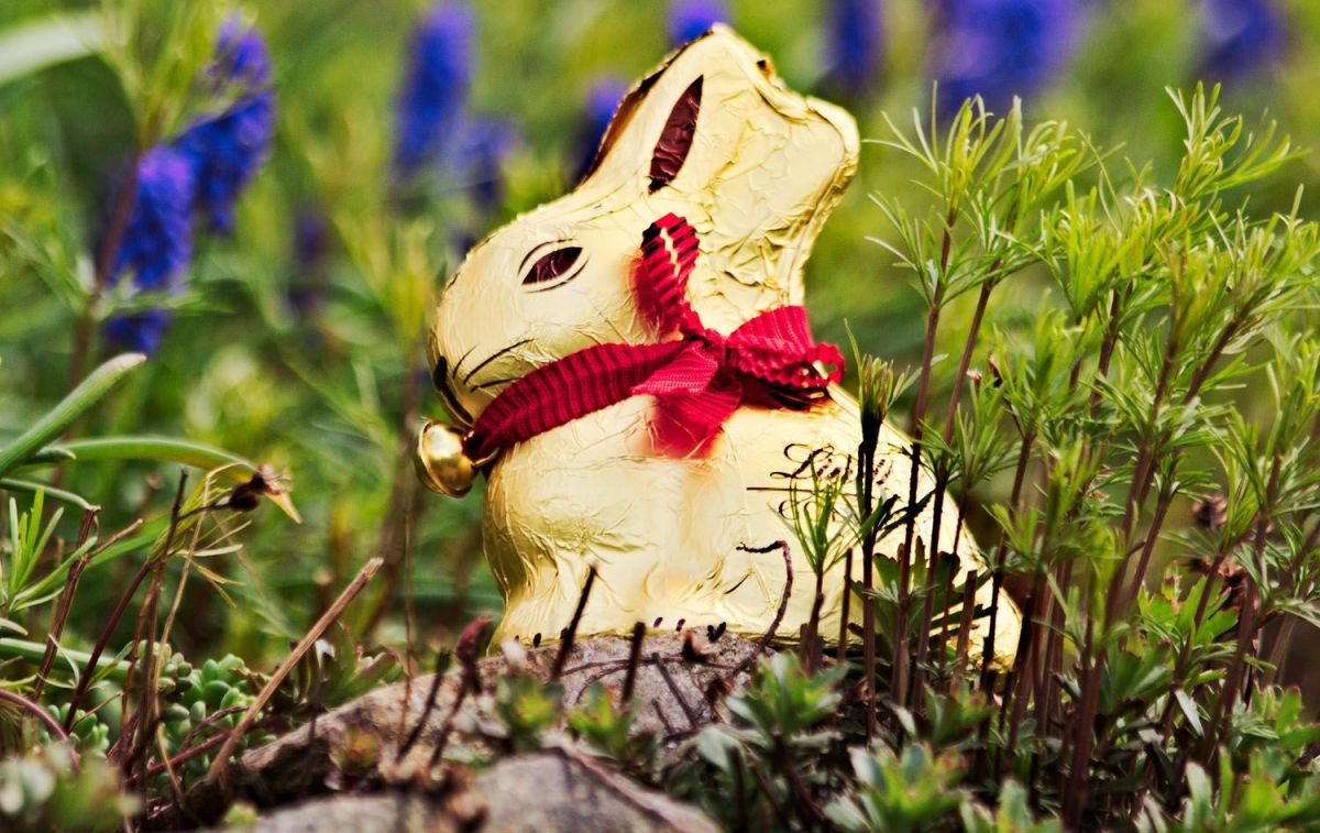 Un conejo de chocolate de Lindt / PIXABAY