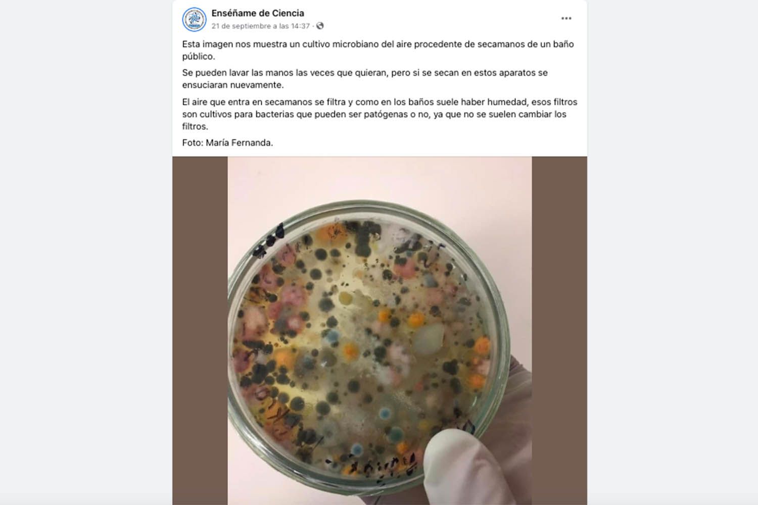 bacterias secamanos