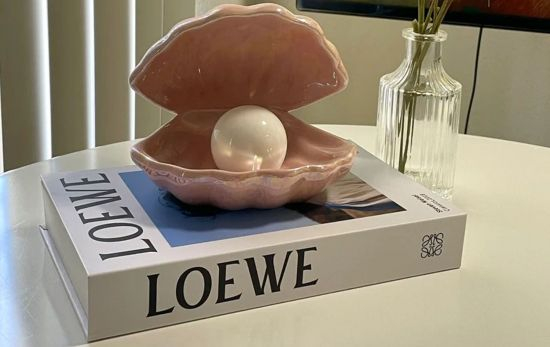 Un libro falso de Loewe a la venta en Etsy Un libro falso de Loewe a la venta en Etsy