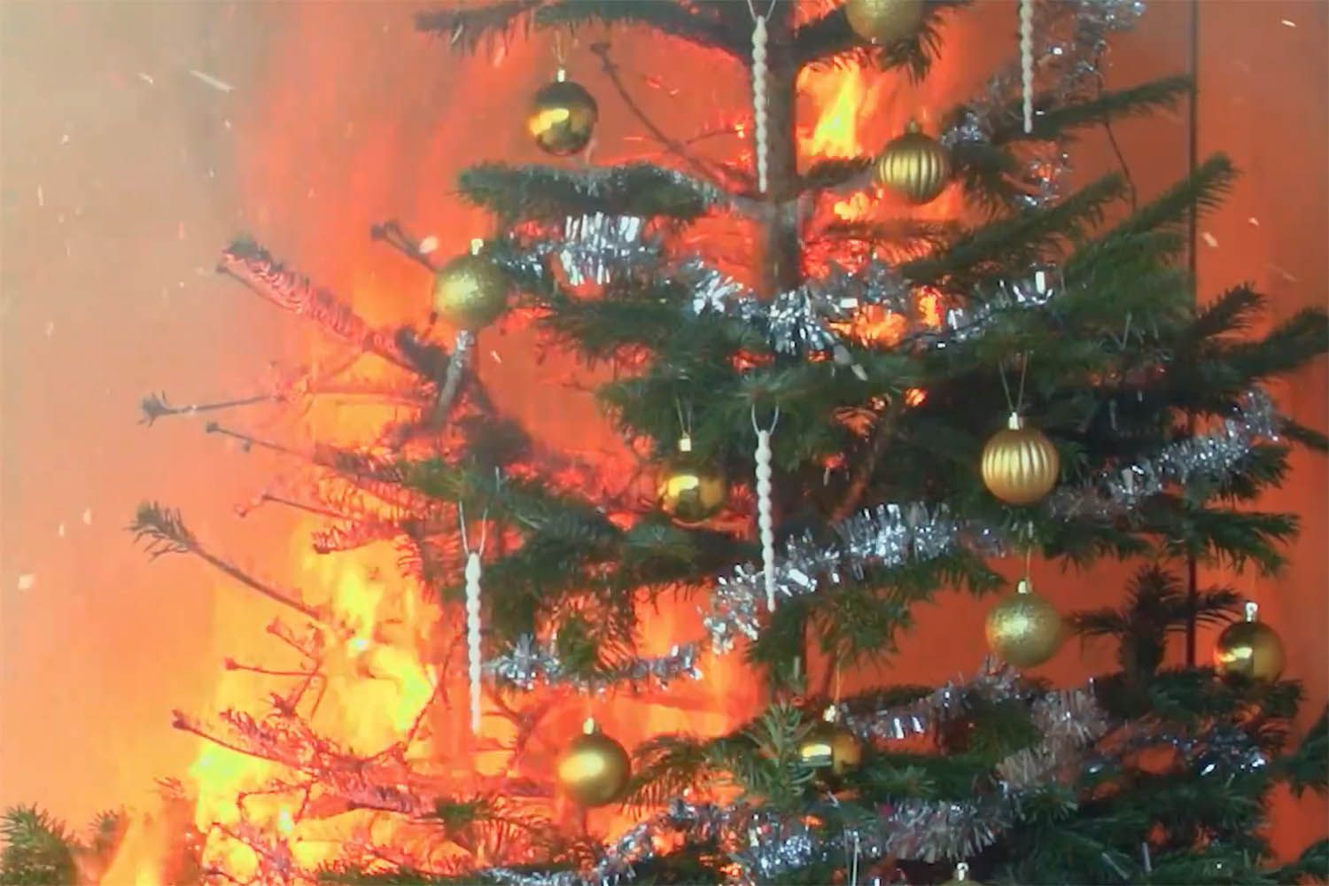 Un árbol de Navidad arde durante una prueba de luces de Navidad de Amazon, AliExpress, eBay / WHICH?