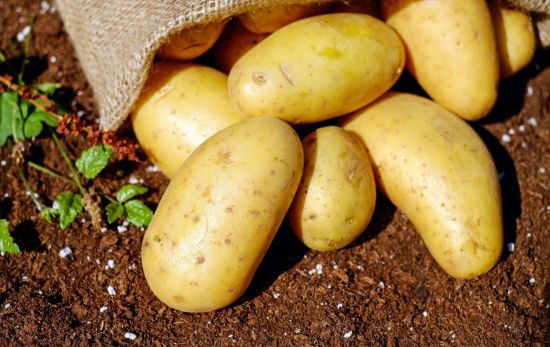 Patatas cultivadas por agricultores / PEXELS Patatas cultivadas por agricultores / PEXELS