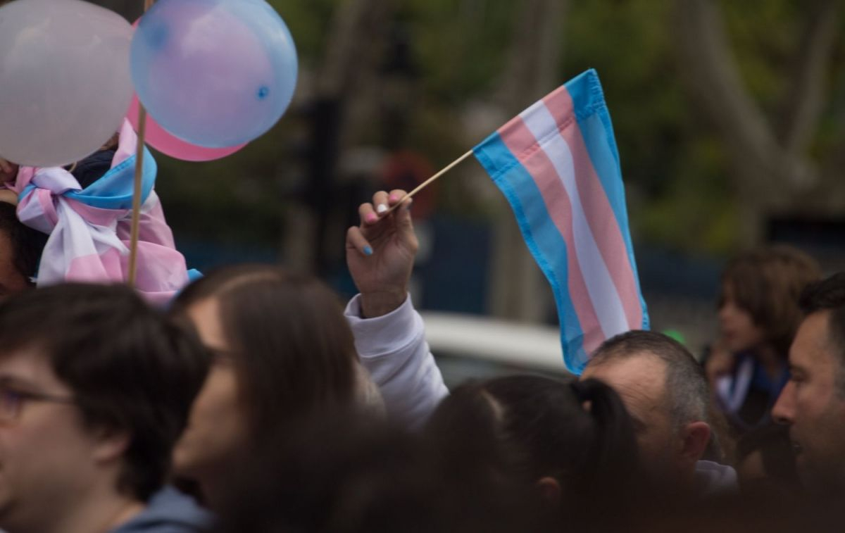 Bandera transgénero en una manifestació por los derechos de las personas trans   Lito Lizana   EP