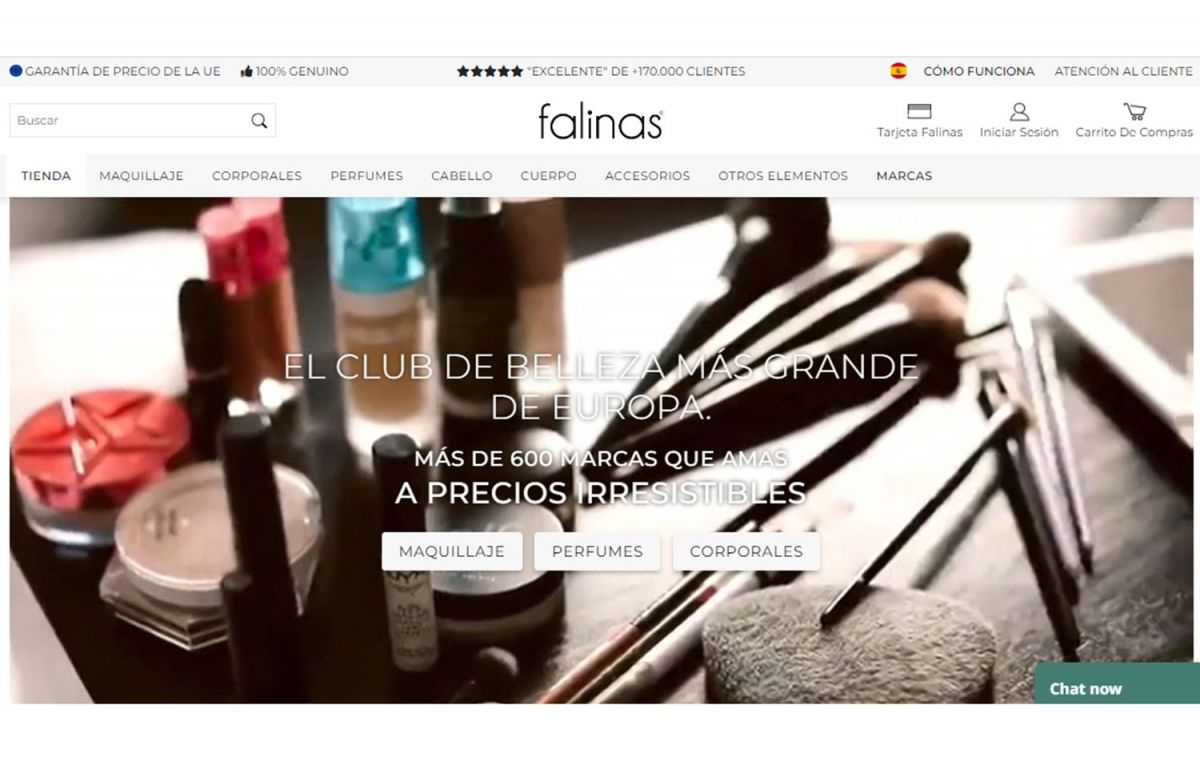 Aspecto de la web de Falinas / FALINAS