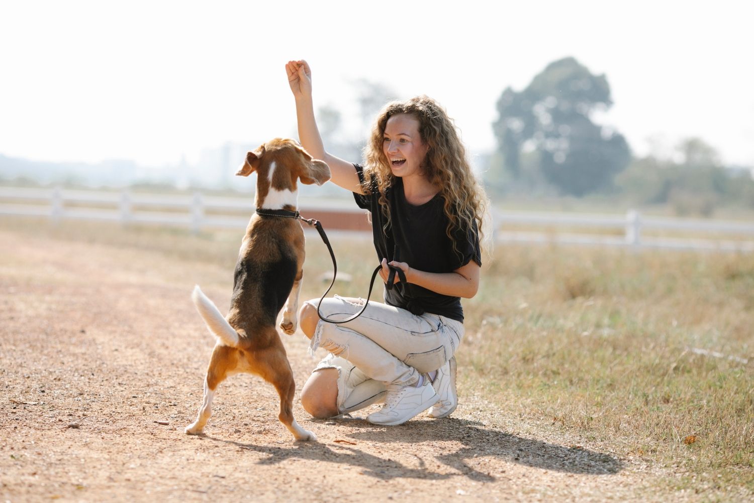 Una voluntaria de Préstame tu perrito juega con una mascota / PEXELS