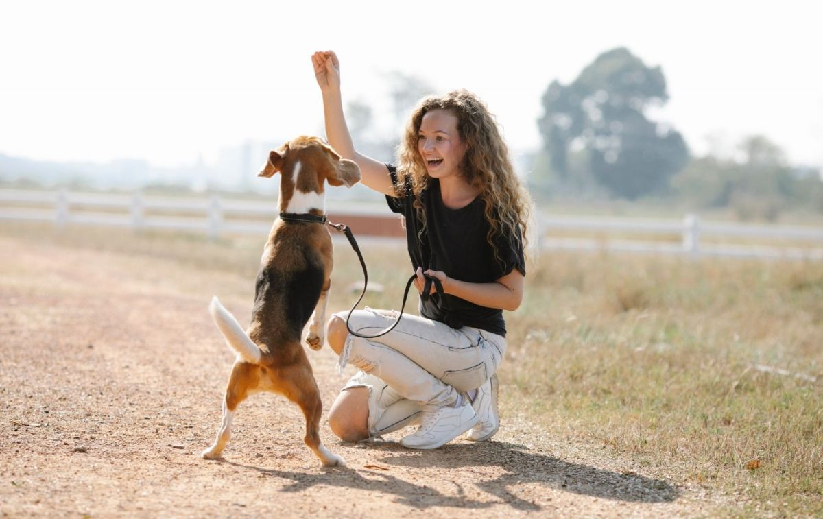 Una voluntaria de Préstame tu perrito juega con una mascota / PEXELS