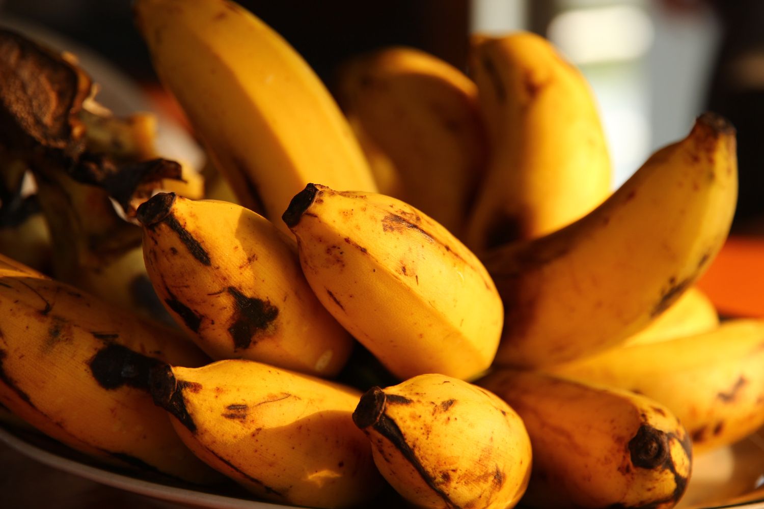 Un manojo de bananas similares al plátano de Canarias / UNSPLASH