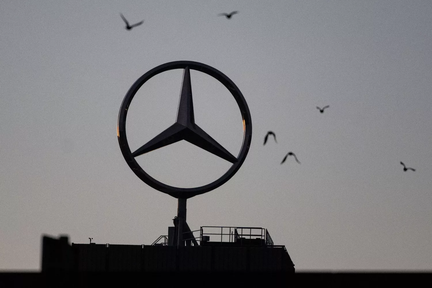 El logo de Mercedes Benz con pájaros alrededor EP