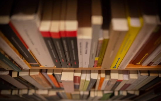 Libros y material colocado en las estanterías de la librería Laie de Barcelona / David Zorrakino - EP Libros y material colocado en las estanterías de la librería Laie de Barcelona / David Zorrakino - EP