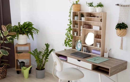 Una habitación con plantas libres de moho / FREEPIK Una habitación con plantas libres de moho / FREEPIK