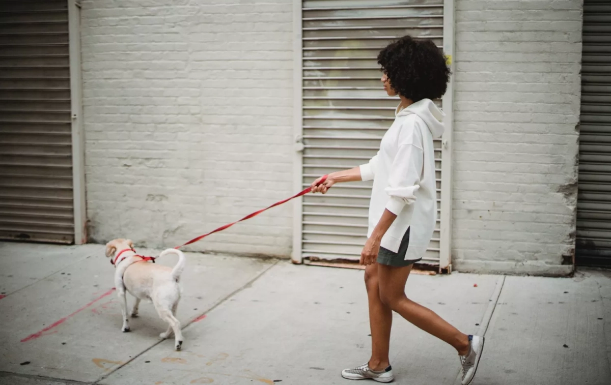 Una persona camina con su perro app / PEXELS 