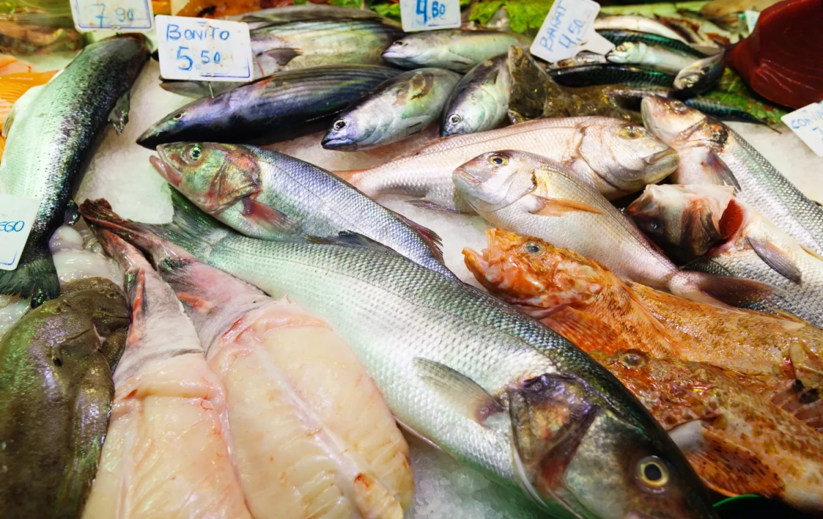 Pescados en una pescadería / FREEPIK Pescados en una pescadería / FREEPIK