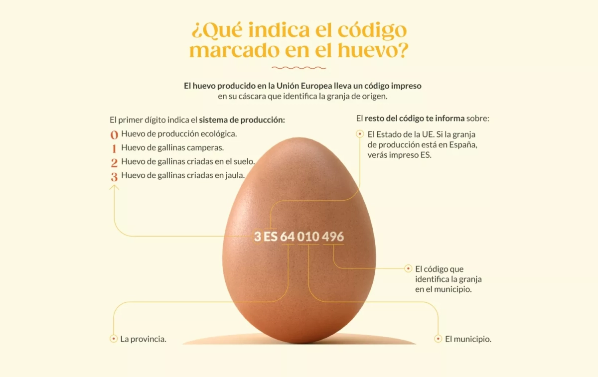 ¿Qué quieren decir los códigos de etiquetado de los huevos    HOY, HUEVO