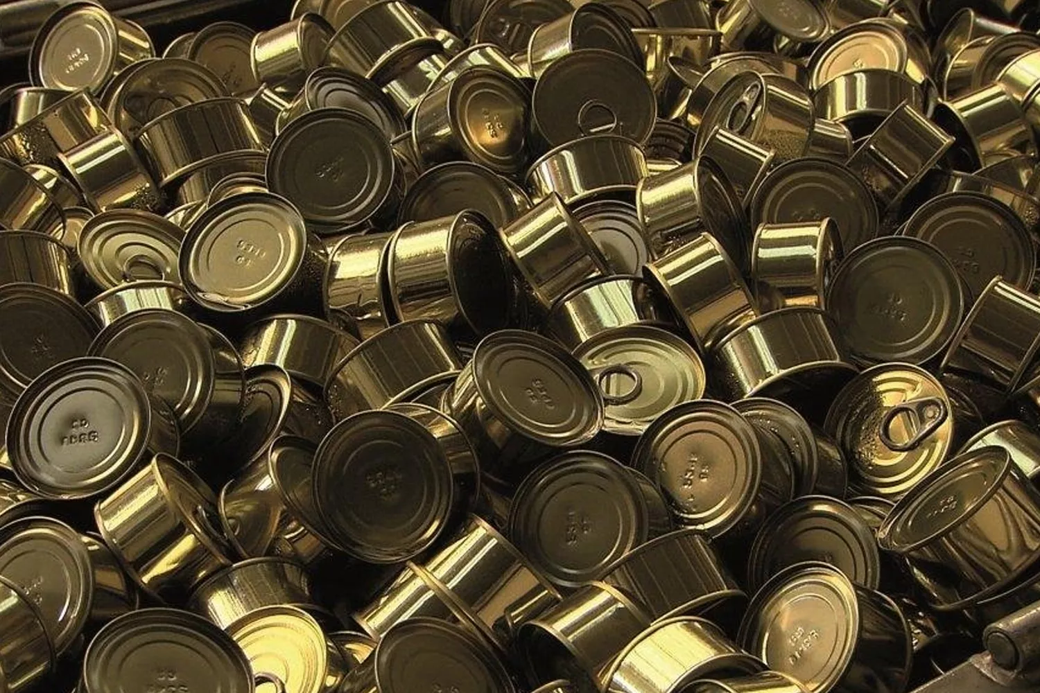 Latas de atún / CONSERVAS CALVO