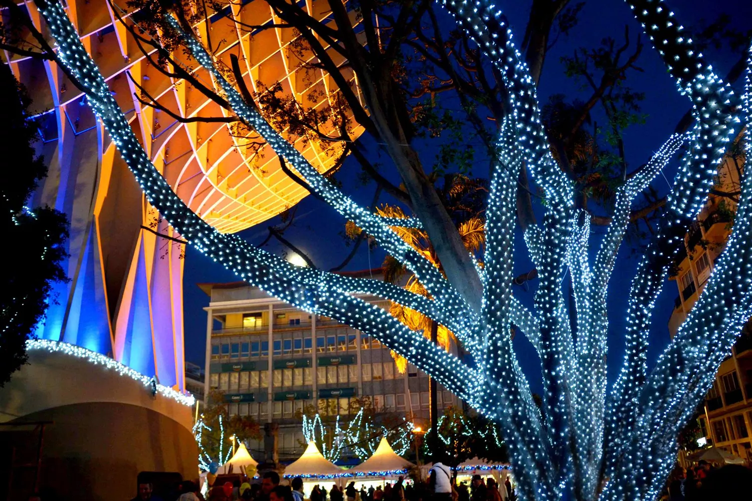 Un árbol iluminado en el Mercado de Navidad de las Setas de Sevilla, en la plaza de la Encarnación / FACEBOOK