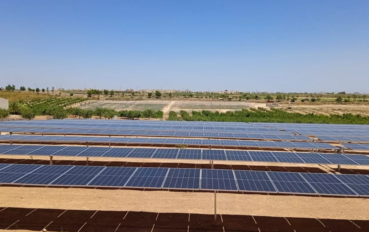 Paneles solares en uno de los parques fotovoltaicos de Comunidad Solar en Murcia / COMUNIDAD SOLAR