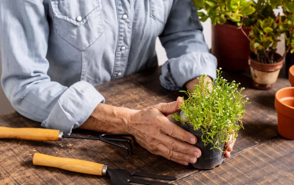 Una persona mayor con un kit de jardinería / TK HOME