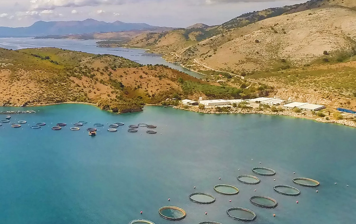 Jaulas con peces en una producción de acuicultura Avramar Jaulas con peces en una producción de acuicultura Avramar