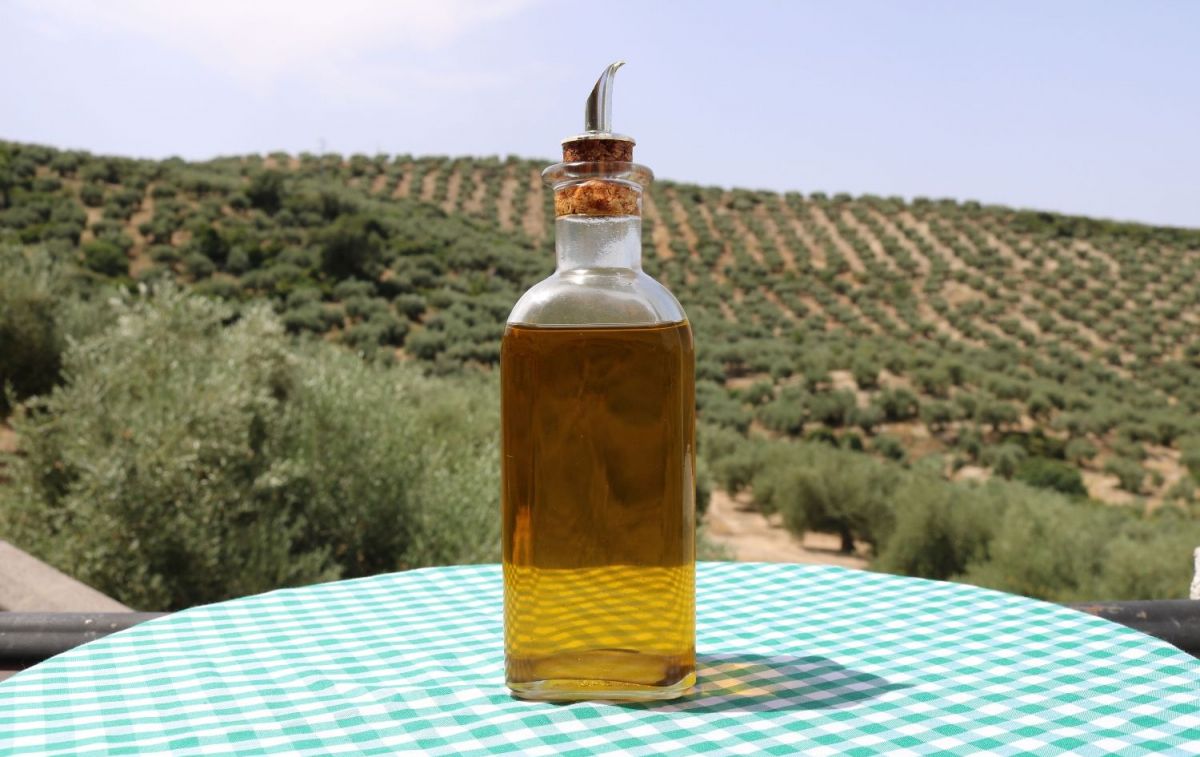 Un recipiente con aceite de oliva en medio del campo / FREEPIK