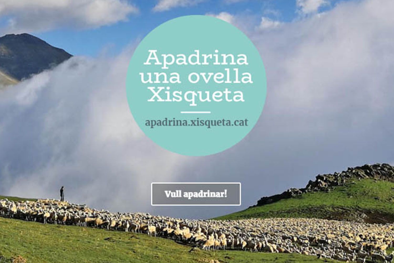 Obrador Xisqueta ofrecía apadrinar ovejas para ayudar a esta especie protegida / XISQUETA