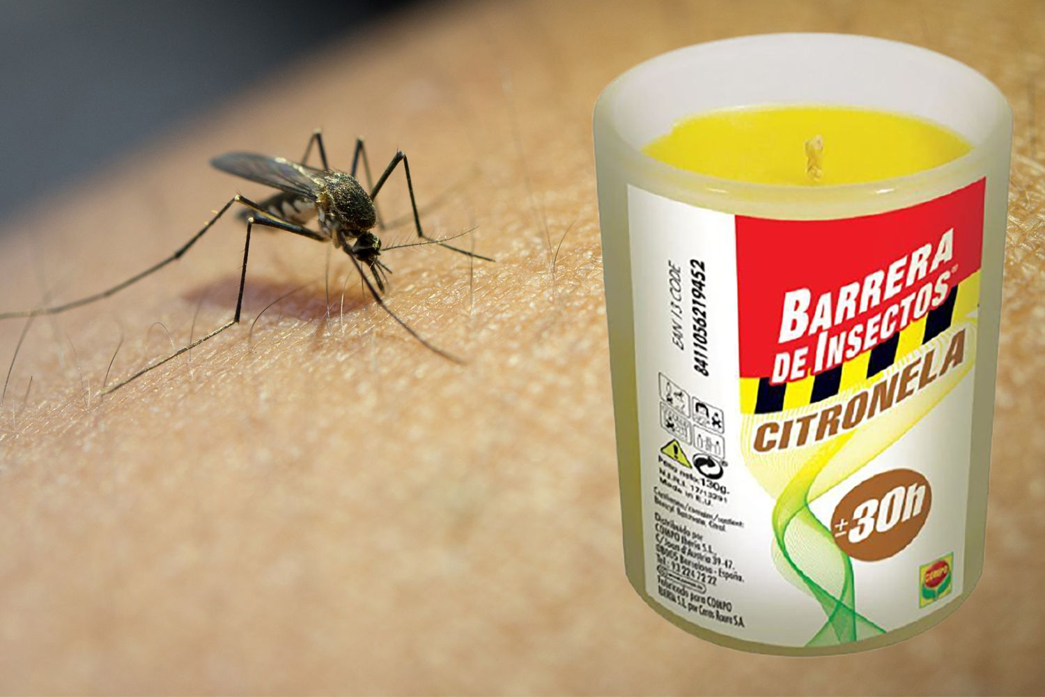 x 2 anti vela de citronela de insectos en un bonito vaso con soporte contra los mosquitos 