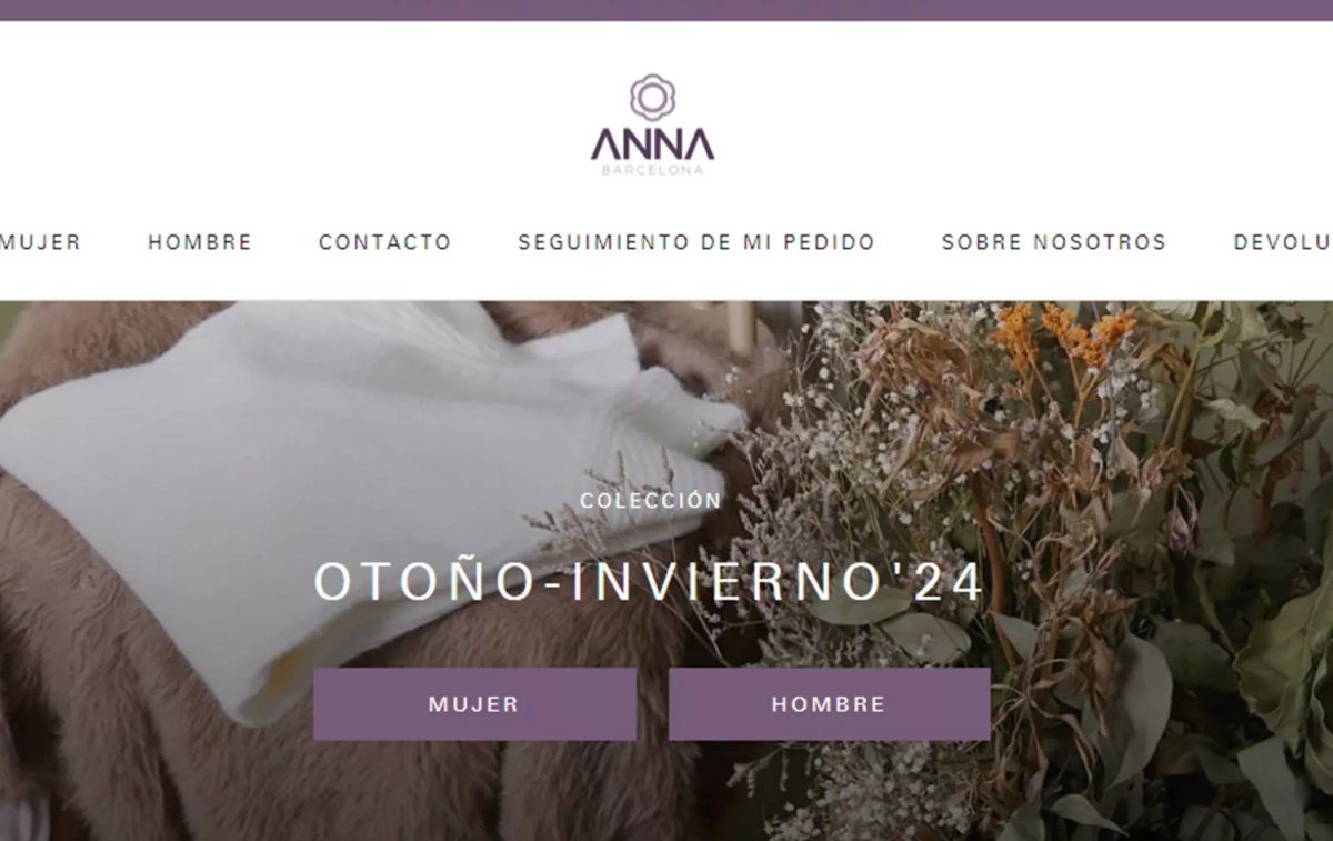 Aspecto de la web Anna Barcelona / CG Aspecto de la web Anna Barcelona / CG