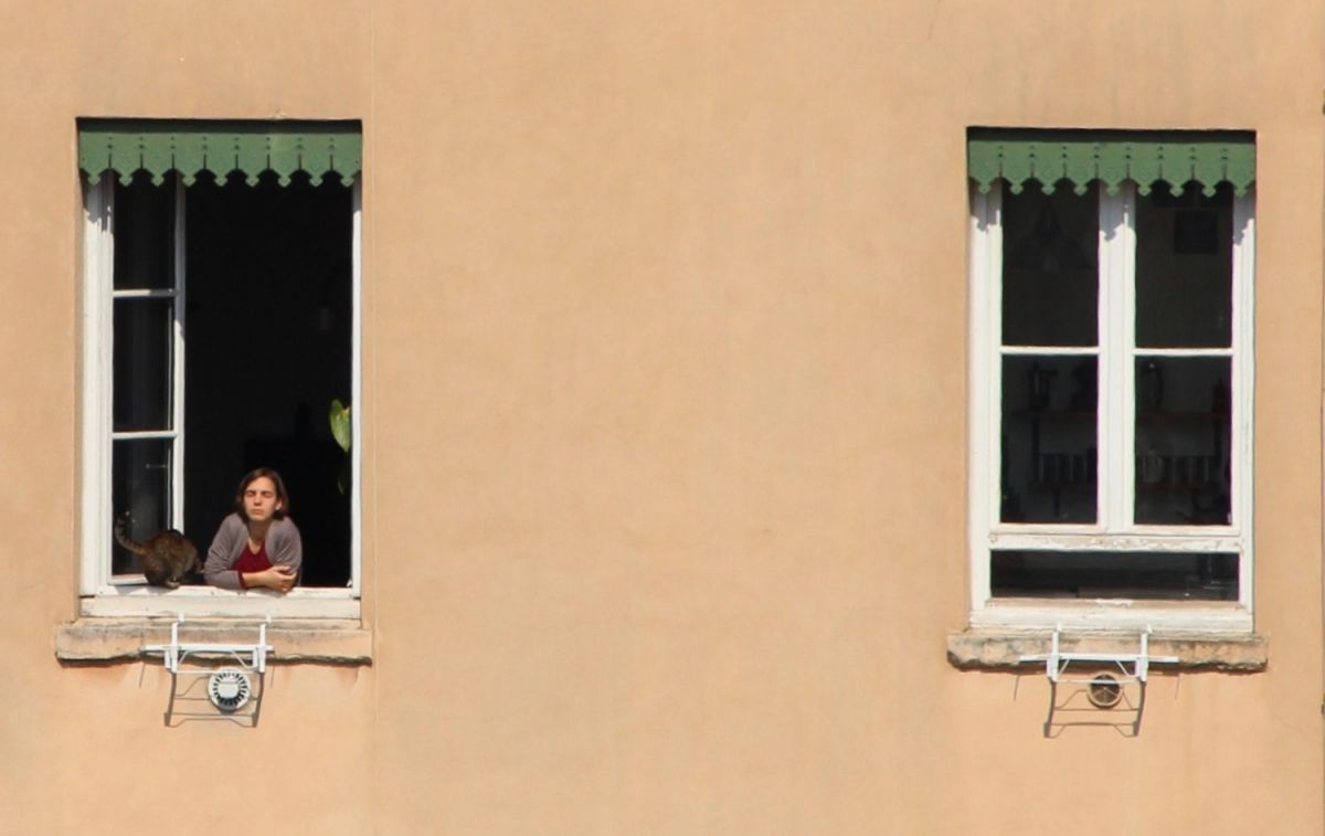 Uno de los vecinos de la comunidad en su ventana / PEXELS