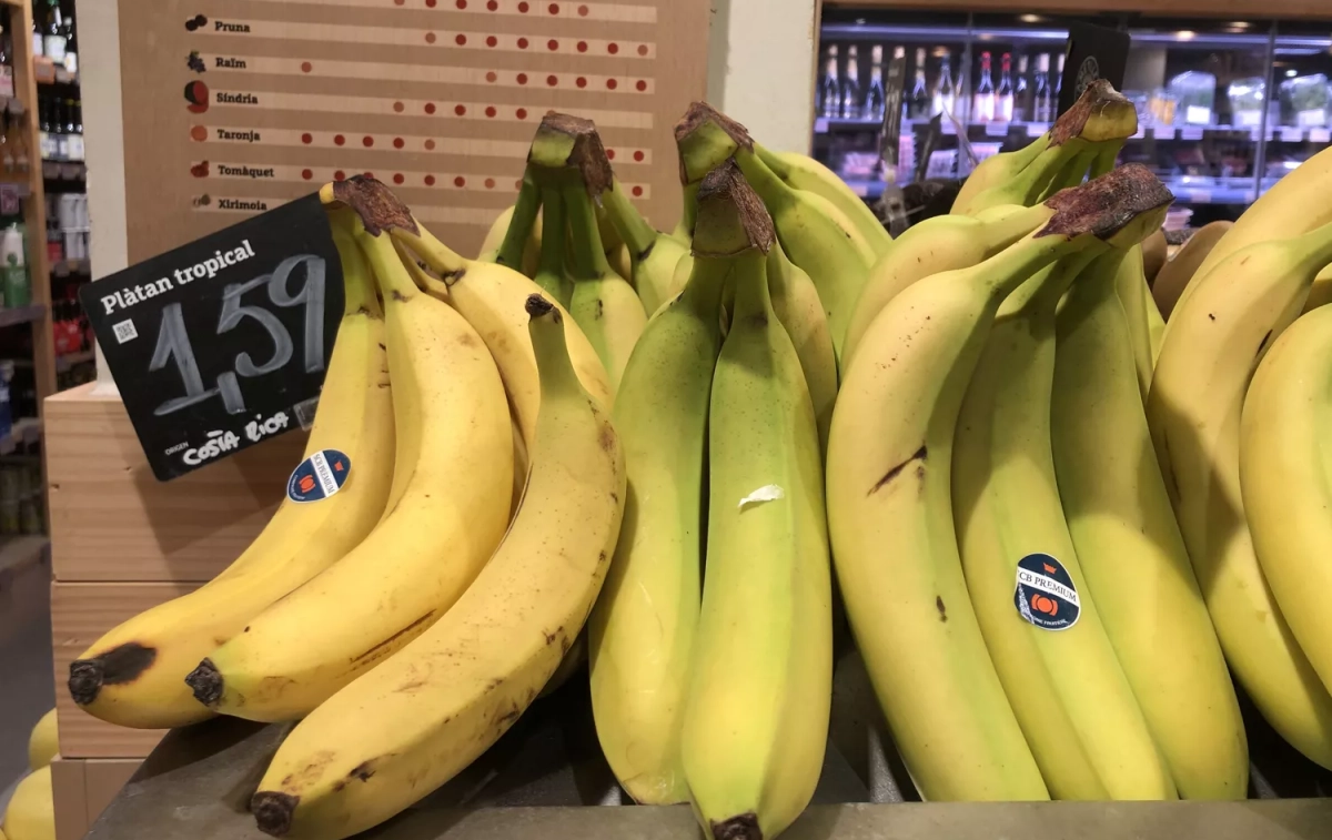 Los plátanos de Costa Rica a la venta en Ametller Origen / TEO CAMINO