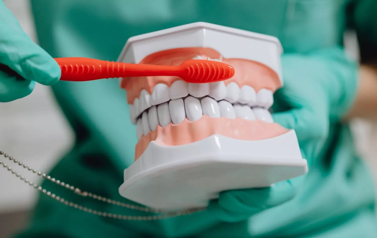 Un dentista enseña como limpiar los dientes a un paciente PEXELS