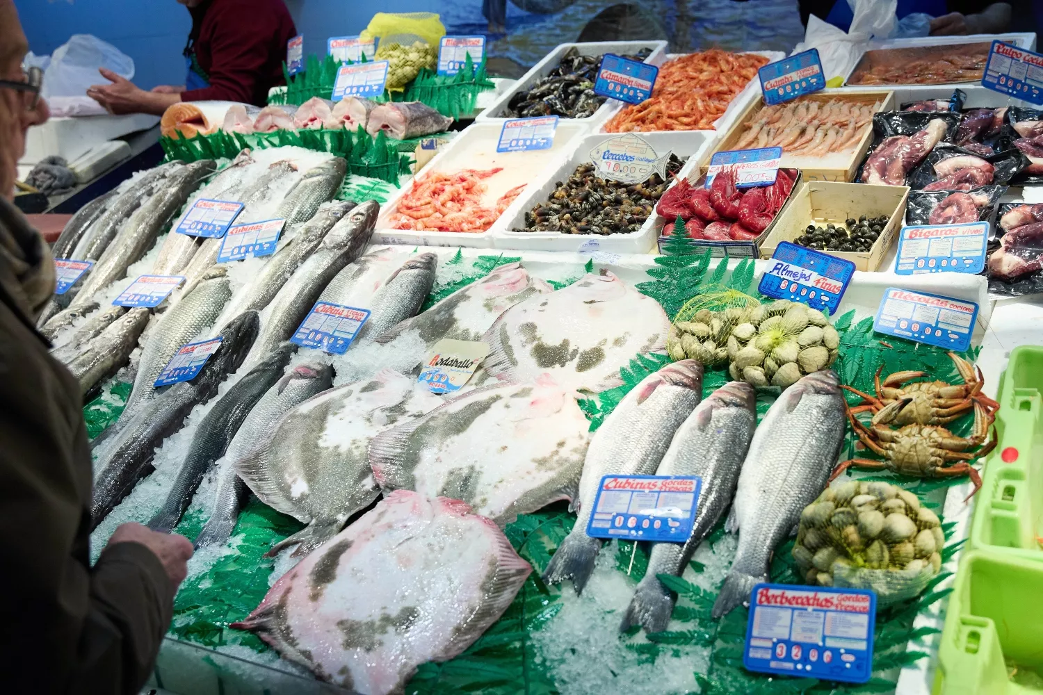 Una pescadería con diferentes pescados y mariscos / EP Una pescadería con diferentes pescados y mariscos / EP
