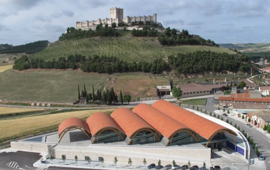 La bodega de Protos frente al castillo de Peñafiel La bodega de Protos frente al castillo de Peñafiel