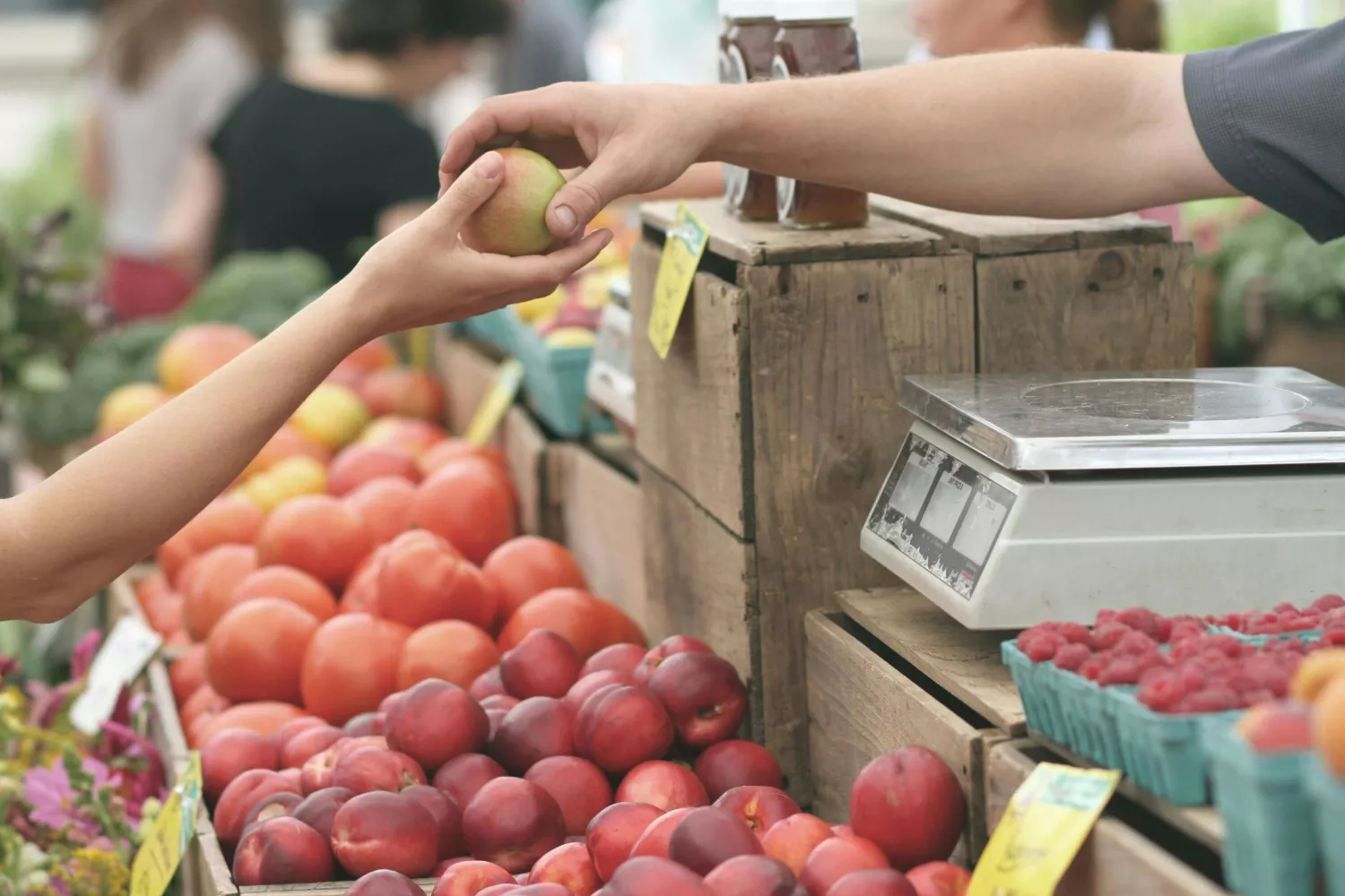 Una persona vende alimentos frescos por debajo de su coste / PEXELS Una persona vende alimentos frescos por debajo de su coste / PEXELS