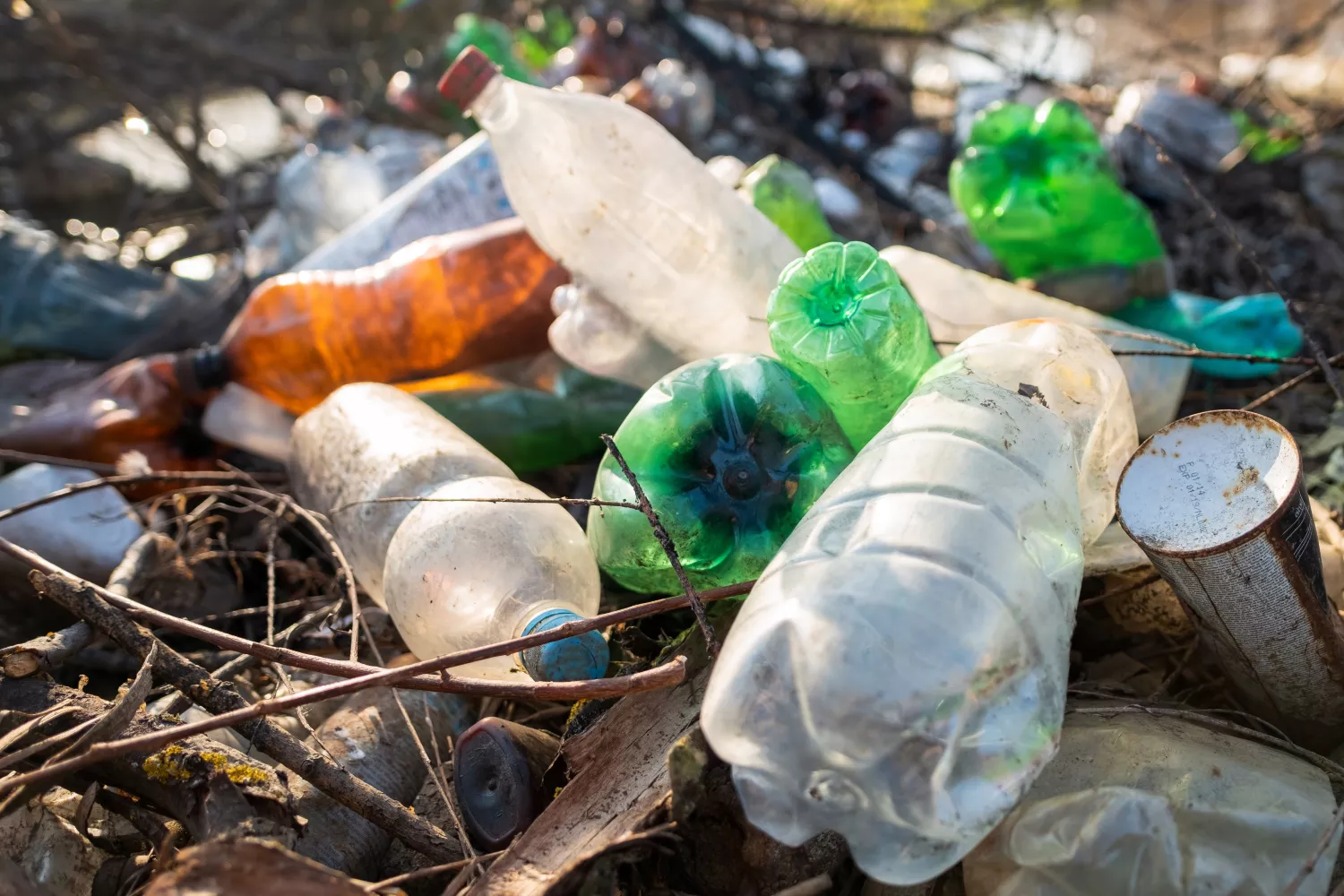 Diferentes botellas de plásticos acumuladas en el suelo / FREEPIK - @frimufilms Diferentes botellas de plásticos acumuladas en el suelo / FREEPIK - @frimufilms