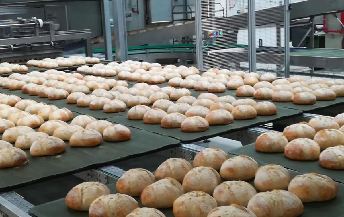 Decenas de panes en la fábrica de Panificadora de Alcalá S.L. / PANIFICADORA ALCALÁ