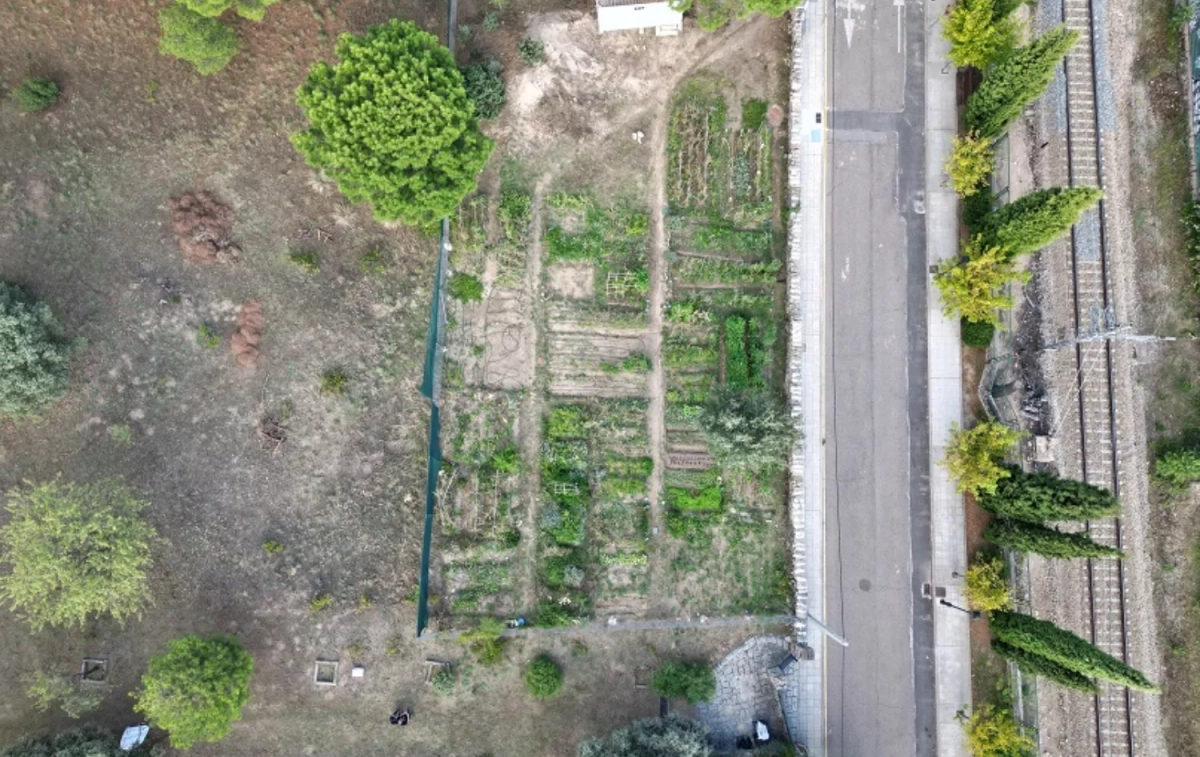 El Jardín de Manuela / EL JARDÍN DE MANUELA