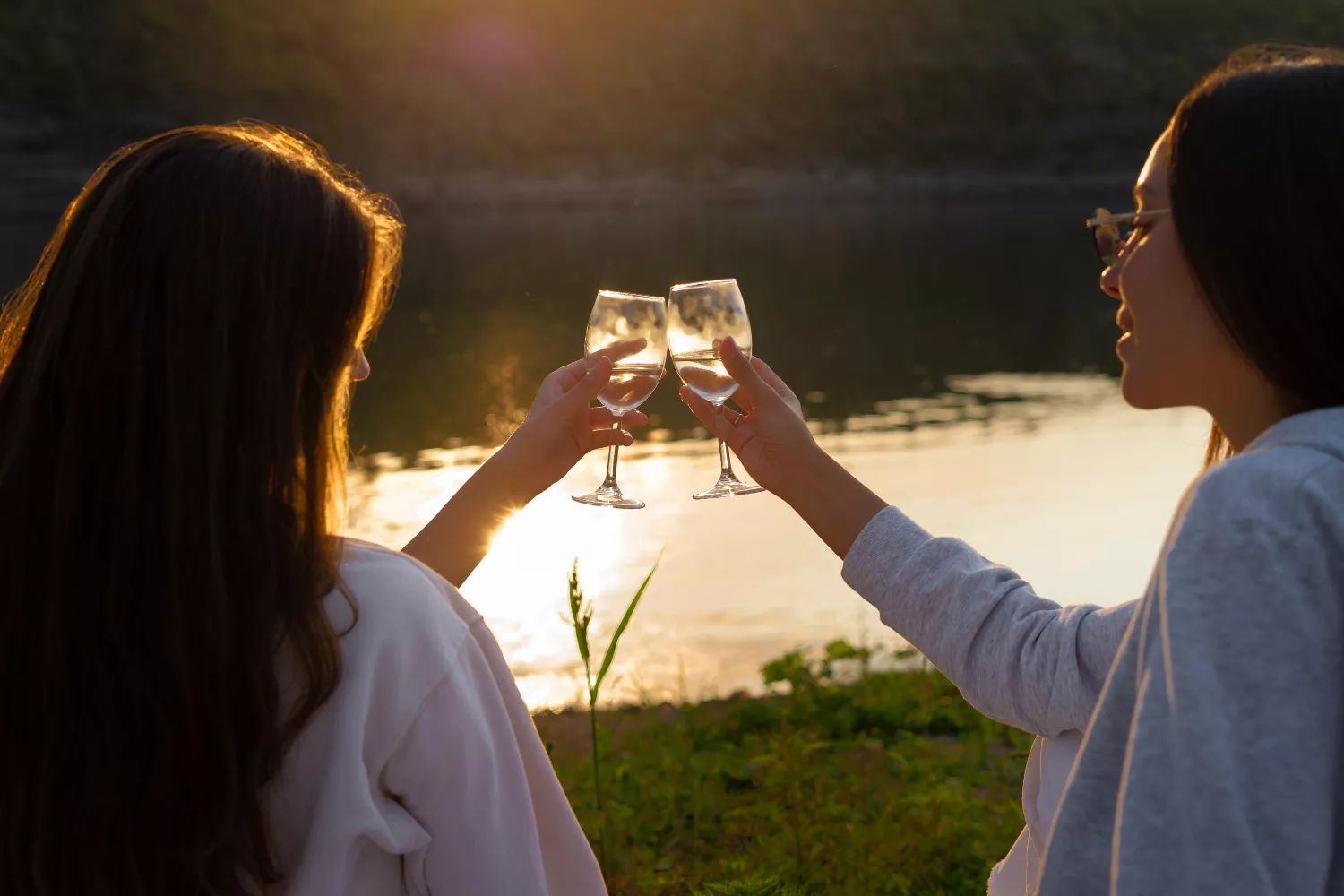 brindis vinos
