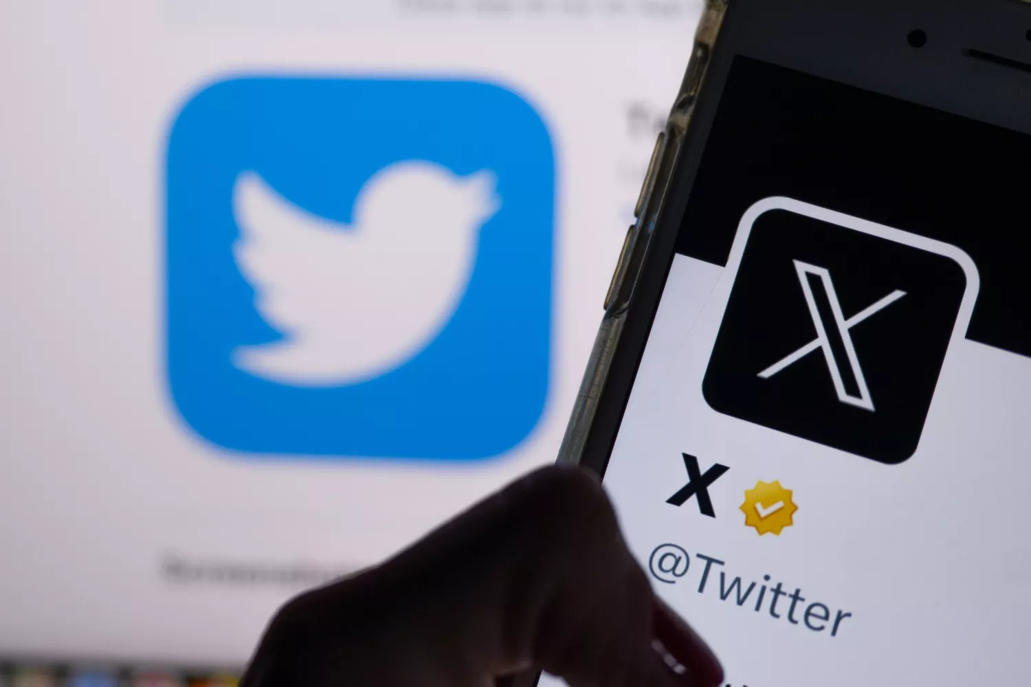 Una persona mira su móvil en el que está abierta la app X (Twitter) / EP - Monika Skolimowska / DPA