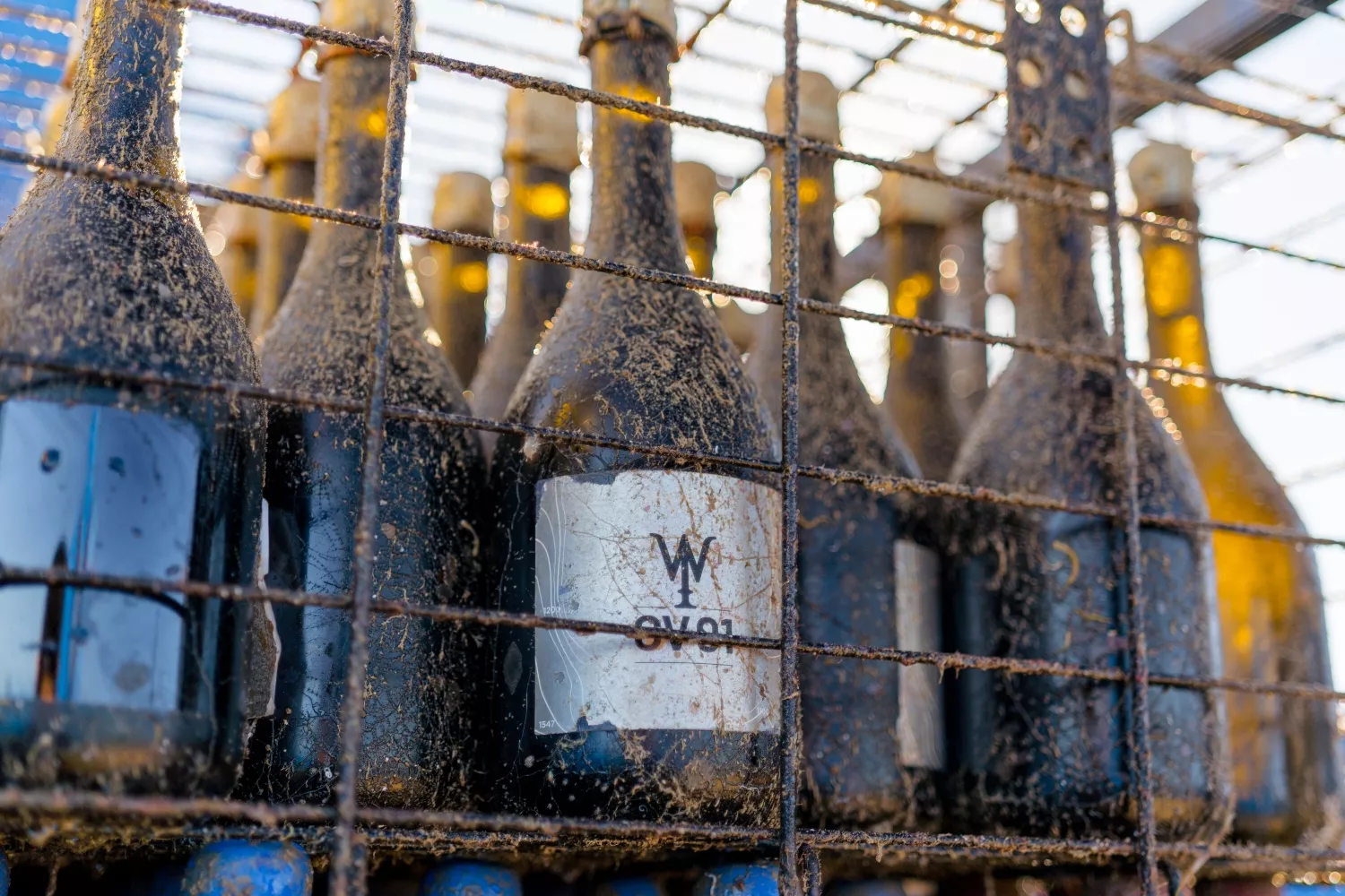 Vino submarino de la Bodega Submarina del Mediterráneo / Bodega Submarina del Mediterráneo Vino submarino de la Bodega Submarina del Mediterráneo / Bodega Submarina del Mediterráneo