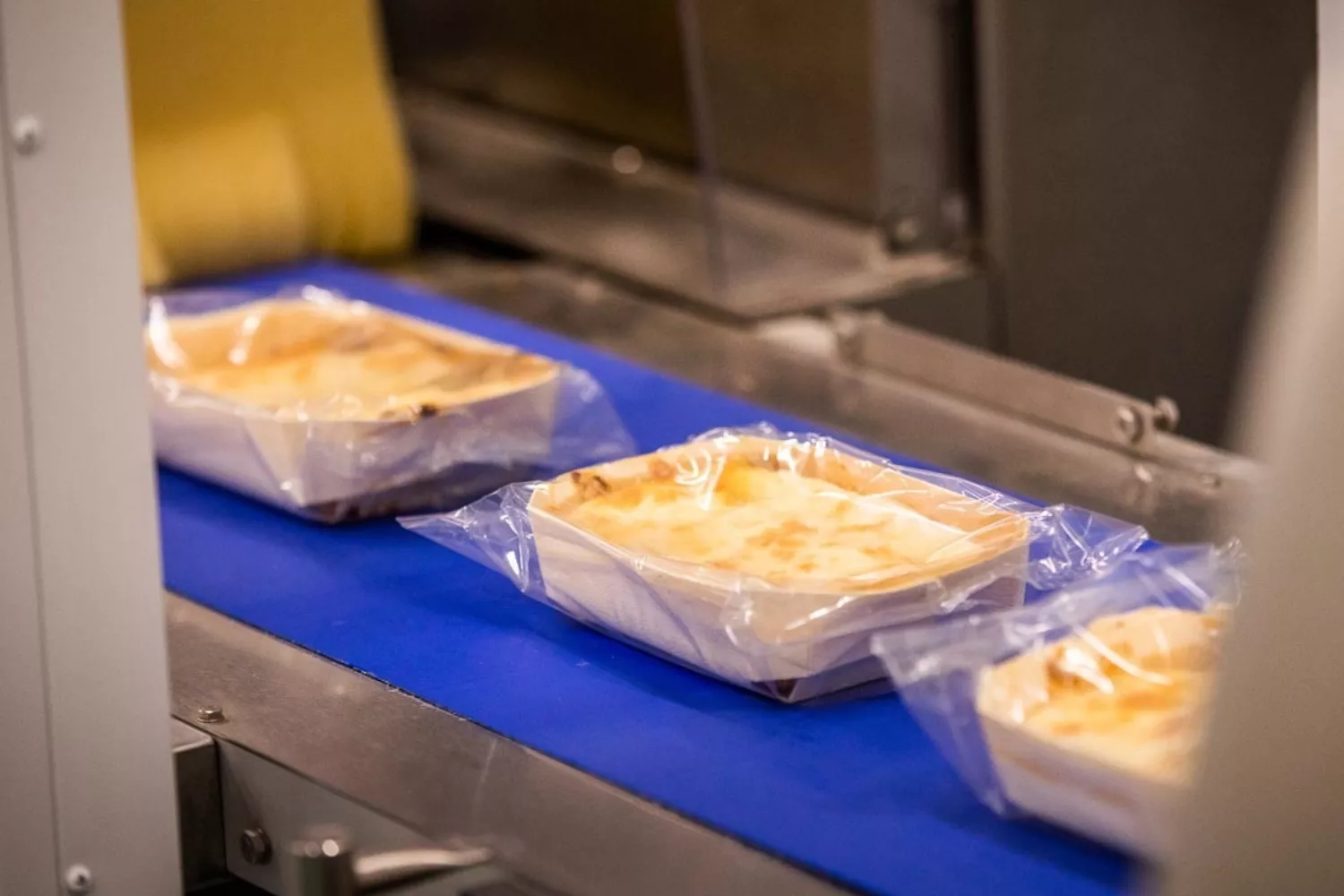 platos precocinados