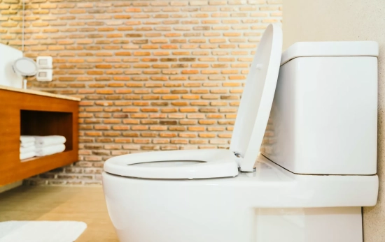 El baño no debe quedar con la tapa abierta: una de las principales normas a cumplir por el Feng Shui/ PEXELS El baño no debe quedar con la tapa abierta: una de las principales normas a cumplir por el Feng Shui/ PEXELS