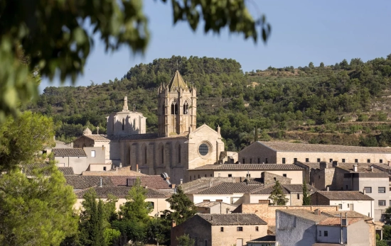 Panorámica de Vallbona de les Monges Panorámica de Vallbona de les Monges