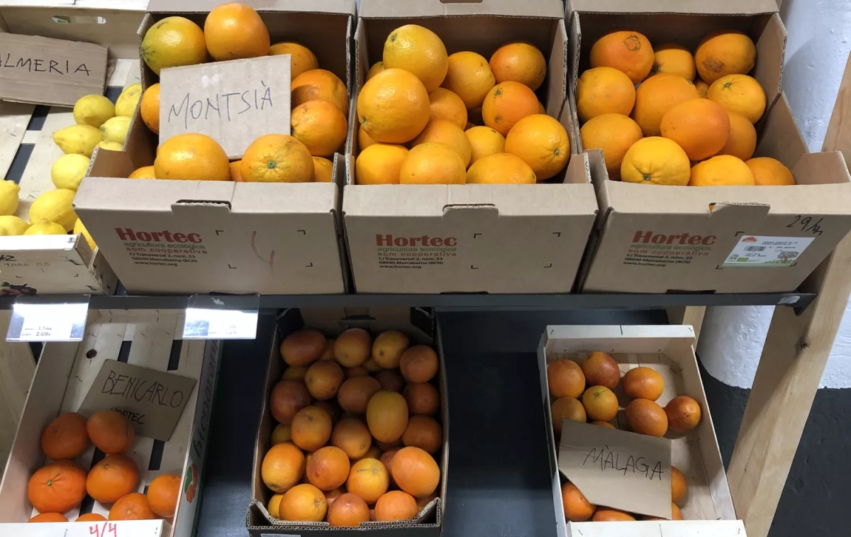 Naranjas y limones de proximidad / TC Naranjas y limones de proximidad / TC