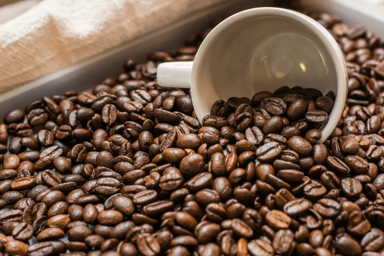 Granos de café / UNSPLASH